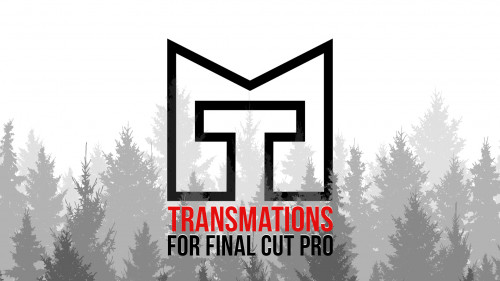 RT Transmations, Ripple Training: Video editing tutorials for the best editing software for PC and Mac.